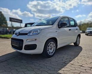 Fiat Panda Gebrauchtwagen
