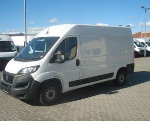 Fiat Ducato Gebrauchtwagen