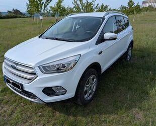 Ford Kuga Gebrauchtwagen