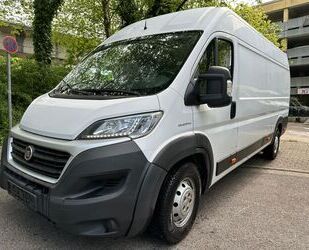 Fiat Ducato Gebrauchtwagen