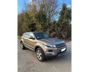 Land Rover Range Rover Evoque Gebrauchtwagen