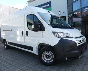 Fiat Ducato Gebrauchtwagen