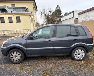 Ford Fusion Gebrauchtwagen