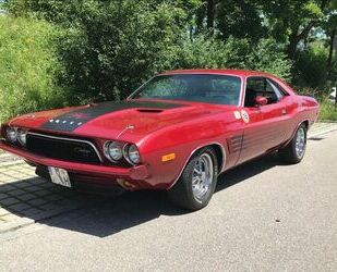 Dodge Challenger Gebrauchtwagen