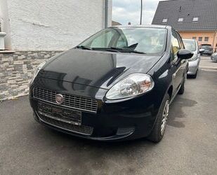 Fiat Punto Gebrauchtwagen