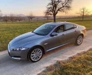 Jaguar XF Gebrauchtwagen