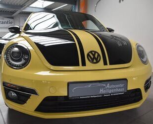 VW Beetle Gebrauchtwagen