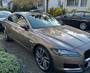 Jaguar XF Gebrauchtwagen