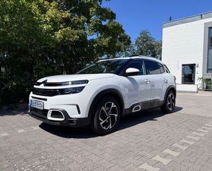 Citroen C5 Aircross Gebrauchtwagen