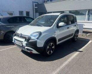 Fiat Panda Gebrauchtwagen