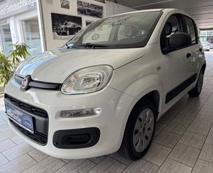 Fiat New Panda Gebrauchtwagen