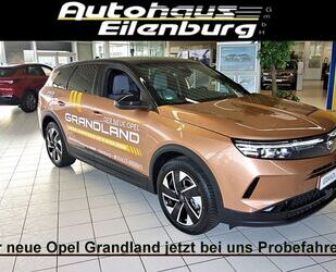 Opel Grandland (X) Gebrauchtwagen