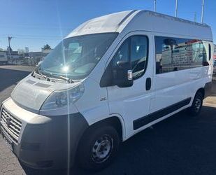 Fiat Ducato Gebrauchtwagen