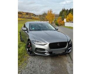 Jaguar XE Gebrauchtwagen