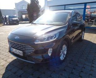 Ford Kuga Gebrauchtwagen