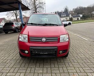 Fiat Panda Gebrauchtwagen