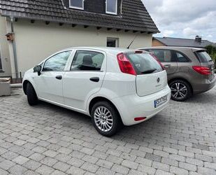 Fiat Punto Gebrauchtwagen