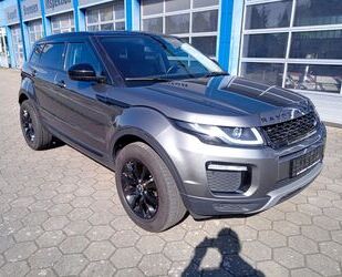 Land Rover Range Rover Evoque Gebrauchtwagen