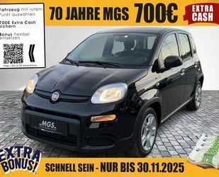 Fiat Panda Gebrauchtwagen