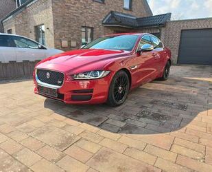 Jaguar XE Gebrauchtwagen