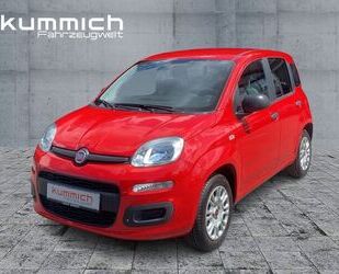 Fiat Panda Gebrauchtwagen