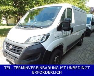 Fiat Ducato Gebrauchtwagen