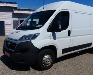 Fiat Ducato Gebrauchtwagen