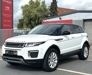 Land Rover Range Rover Evoque Gebrauchtwagen