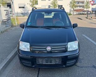 Fiat Panda Gebrauchtwagen