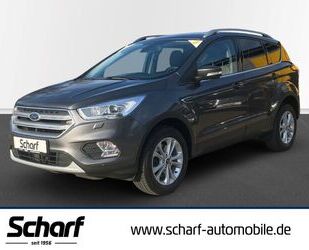 Ford Kuga Gebrauchtwagen