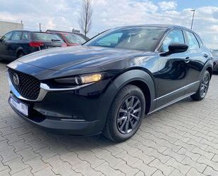 Mazda CX-30 Gebrauchtwagen