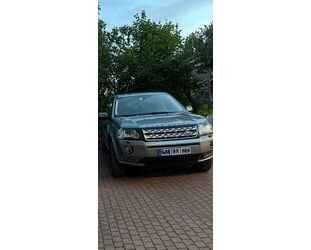 Land Rover Freelander Gebrauchtwagen
