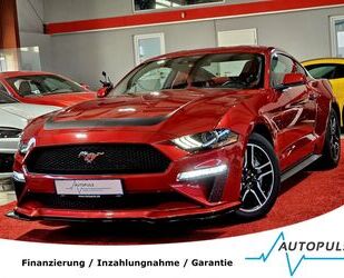 Ford Mustang Gebrauchtwagen