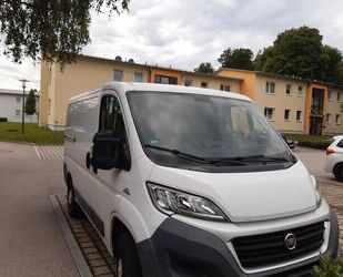 Fiat Ducato Gebrauchtwagen