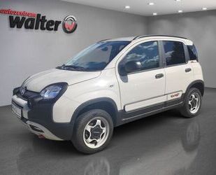 Fiat Panda Gebrauchtwagen