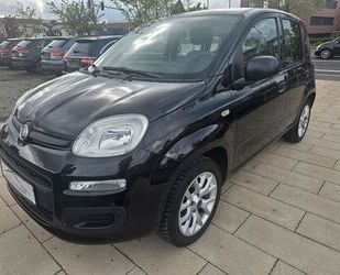 Fiat Panda Gebrauchtwagen