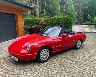 Alfa Romeo Spider Gebrauchtwagen