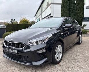 Kia ceed / Ceed Gebrauchtwagen
