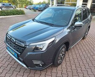 Subaru Forester Gebrauchtwagen