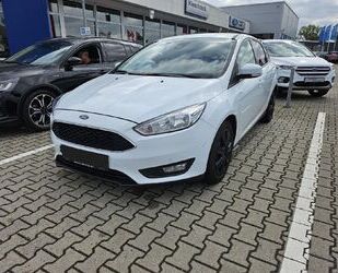 Ford Focus Gebrauchtwagen