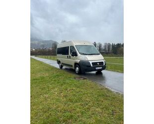 Fiat Ducato Gebrauchtwagen