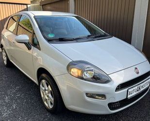 Fiat Punto Gebrauchtwagen