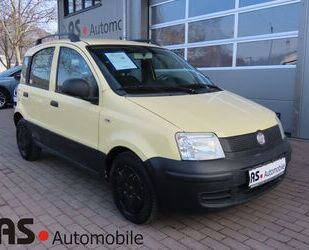Fiat Panda Gebrauchtwagen