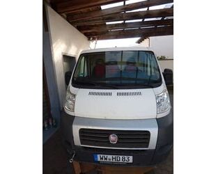 Fiat Ducato Gebrauchtwagen