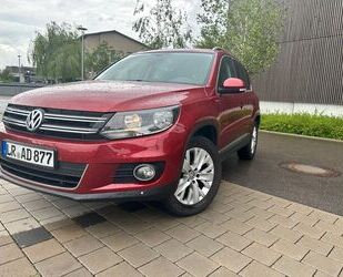 VW Tiguan Gebrauchtwagen