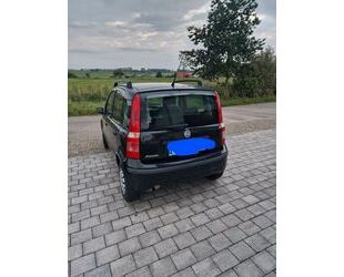Fiat Panda Gebrauchtwagen