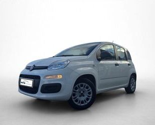 Fiat Panda Gebrauchtwagen