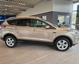 Ford Kuga Gebrauchtwagen