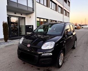 Fiat Panda Gebrauchtwagen