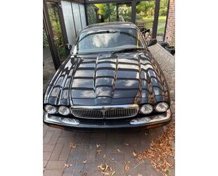 Jaguar XJ8 Gebrauchtwagen